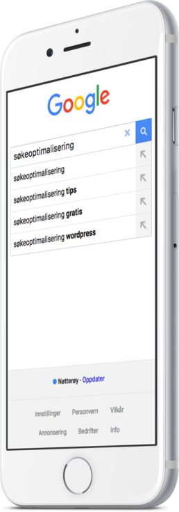 Google Søkeoptimalisering